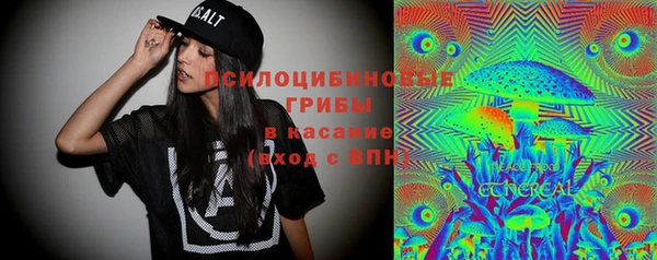 прущие крисы Киренск