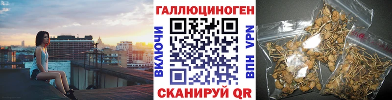 Псилоцибиновые грибы мицелий  Балей 