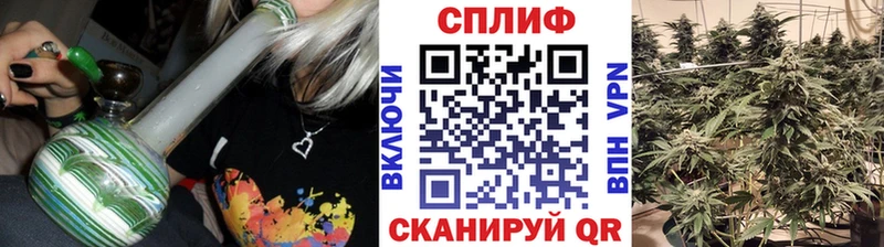 Канабис SATIVA & INDICA  Балей 